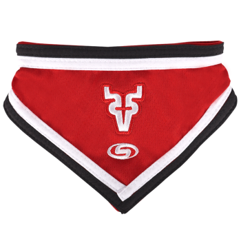 Bandana Para Mascota V