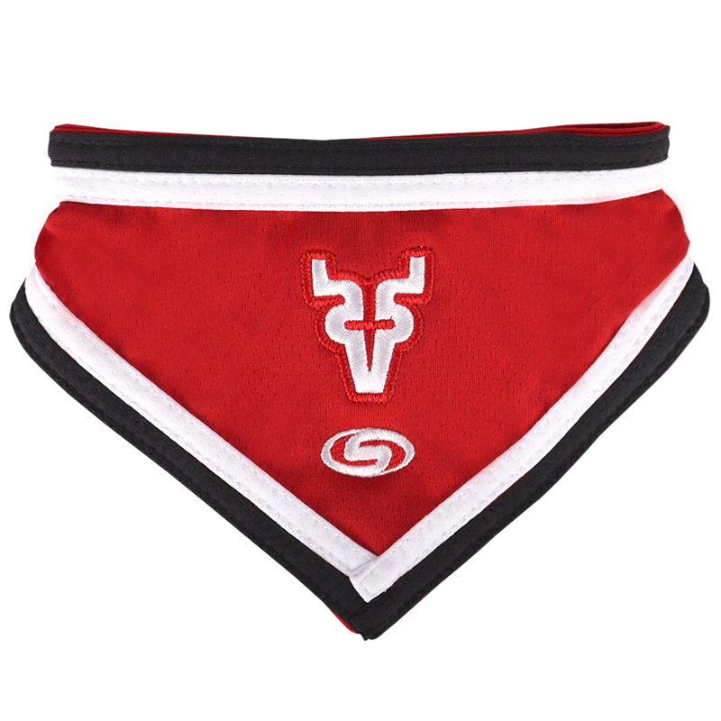 Bandana Para Mascota V