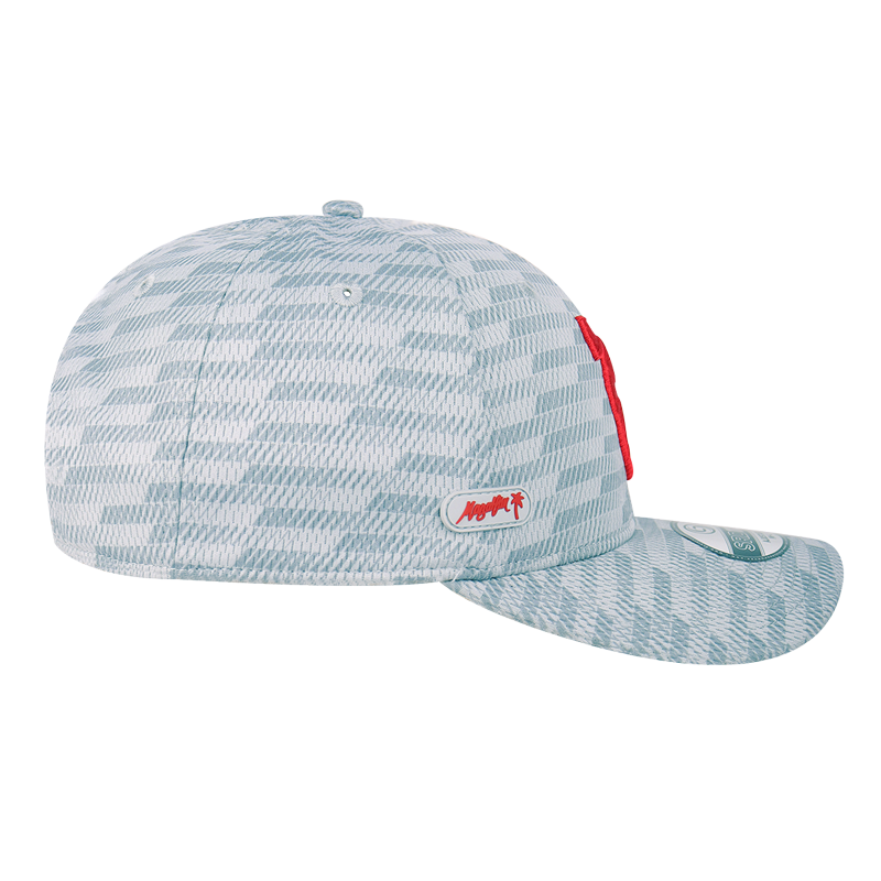 Gorra SRD1126 Gris V