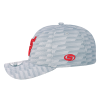 Gorra SRD1126 Gris V